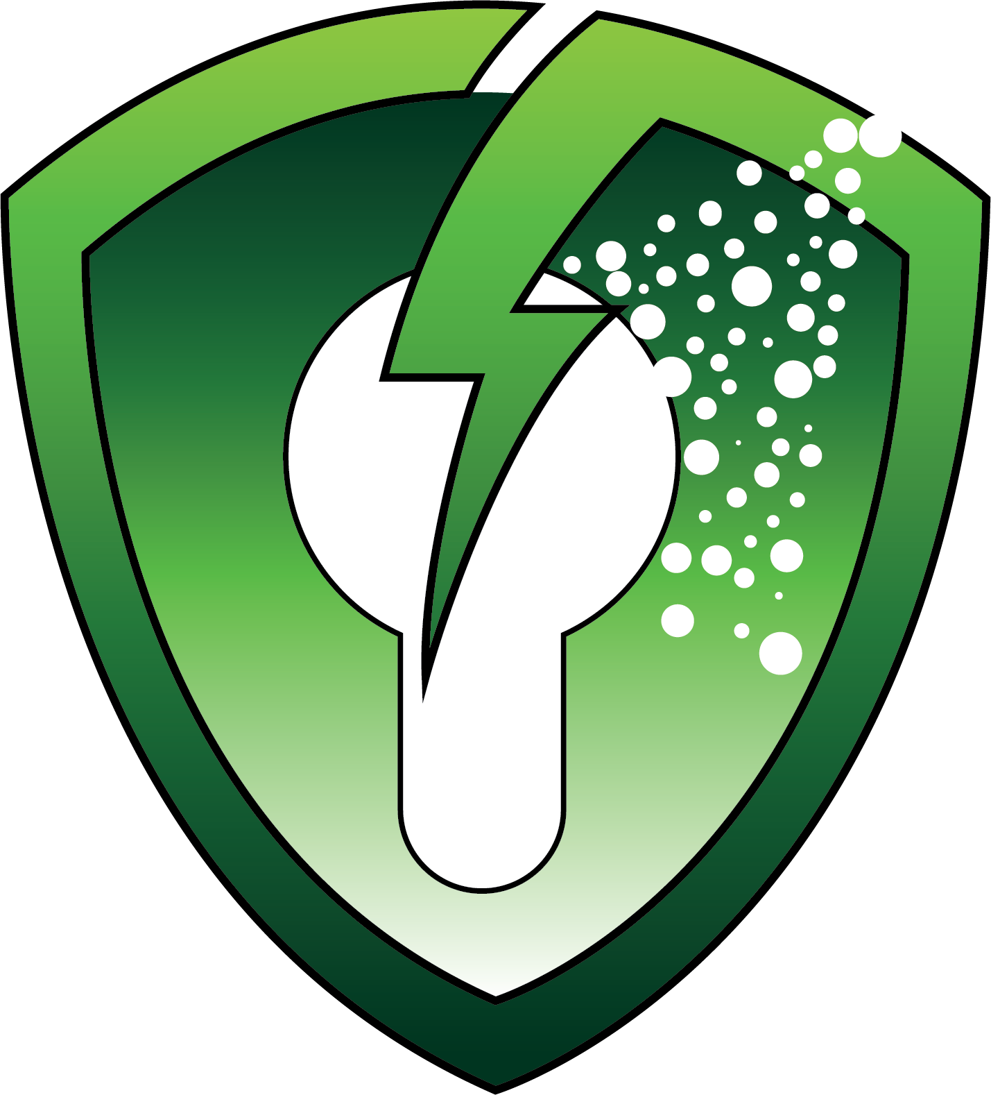Safe Spray pressure washing service shield