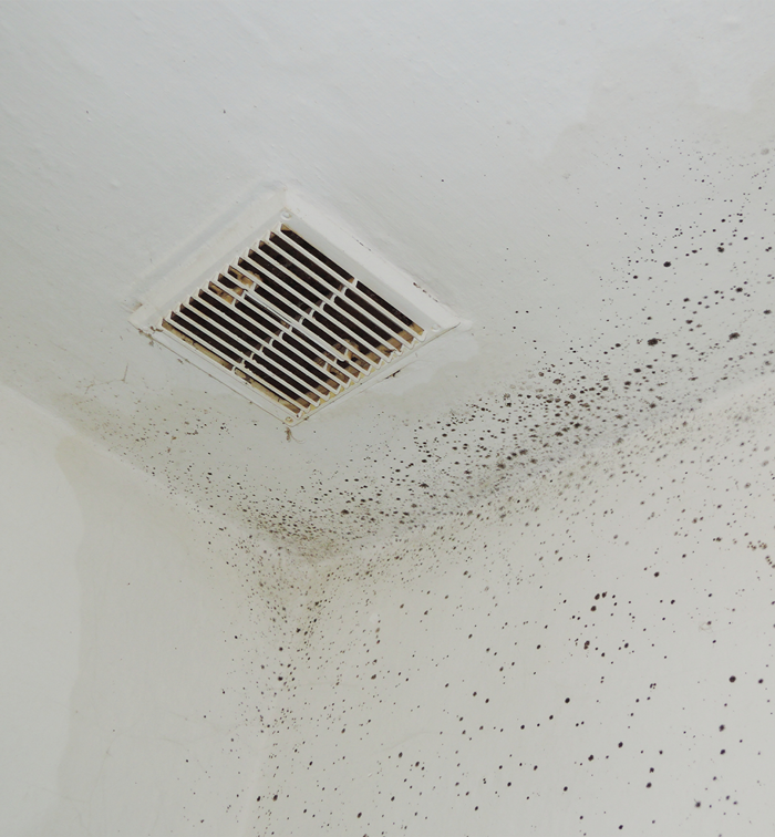 Air Vent Disinfection